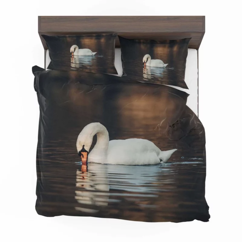 Mute Swan Reflective Pose Serene Beauty Bedding Set 1