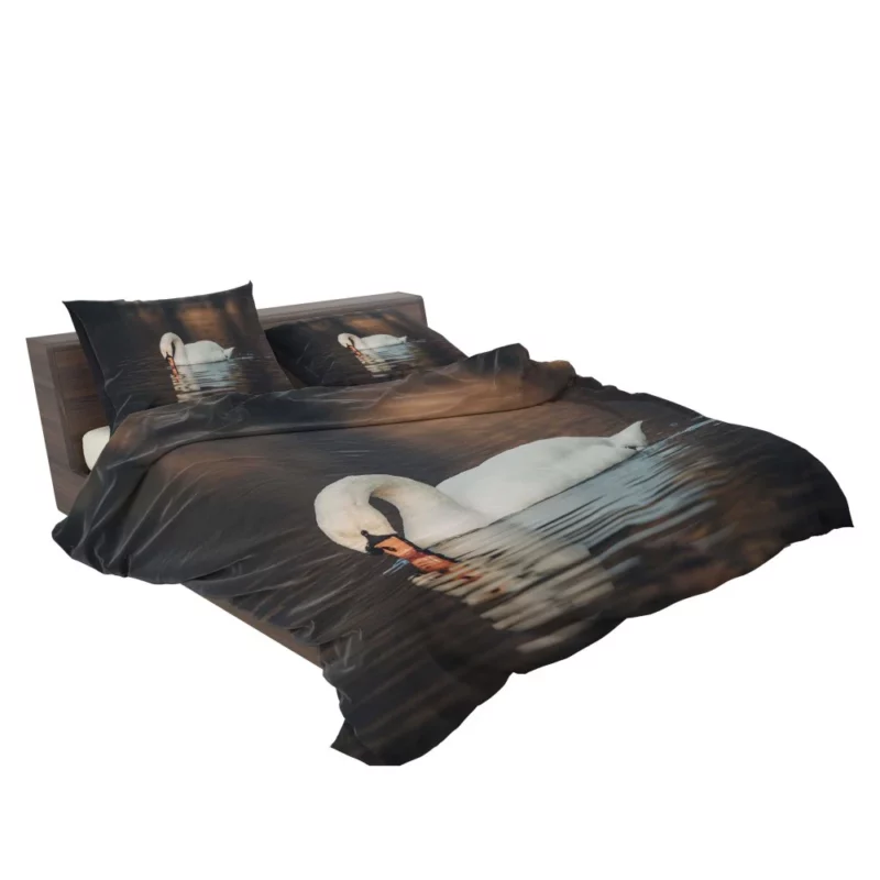 Mute Swan Reflective Pose Serene Beauty Bedding Set 2