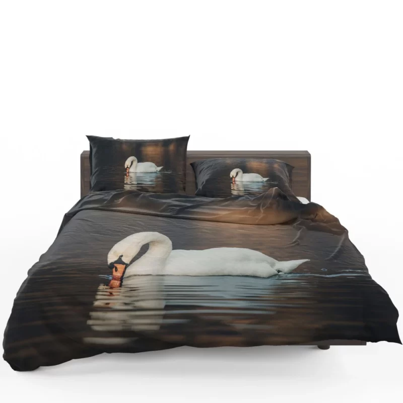 Mute Swan Reflective Pose Serene Beauty Bedding Set