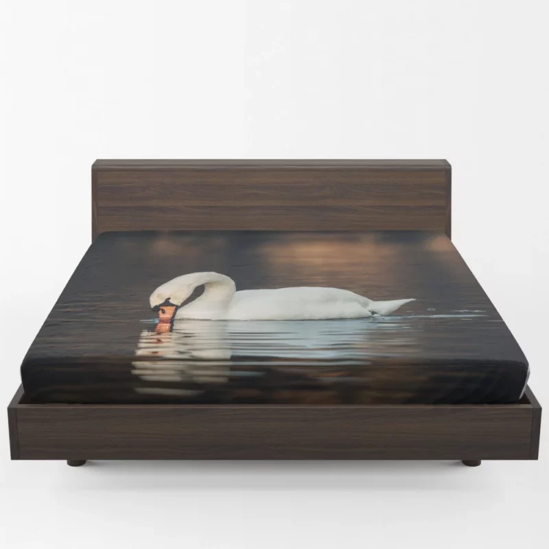 Mute Swan Reflective Pose Serene Beauty Fitted Sheet