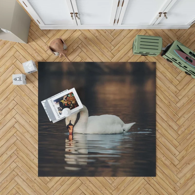 Mute Swan Reflective Pose Serene Beauty Rug