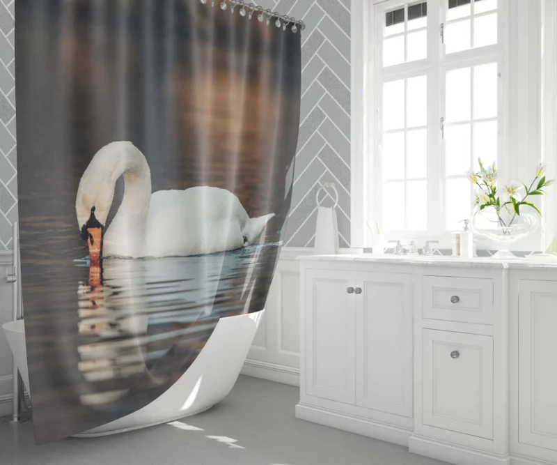 Mute Swan Reflective Pose Serene Beauty Shower Curtain 1