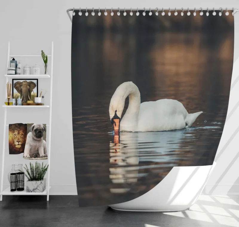 Mute Swan Reflective Pose Serene Beauty Shower Curtain