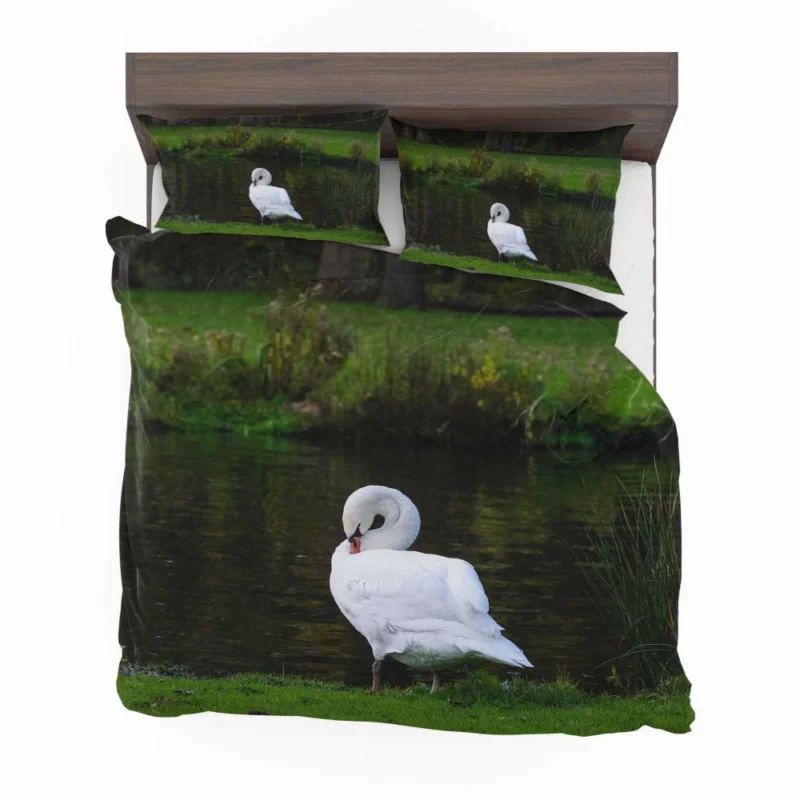 Mute Swan Serene Pose Graceful Beauty Bedding Set 1