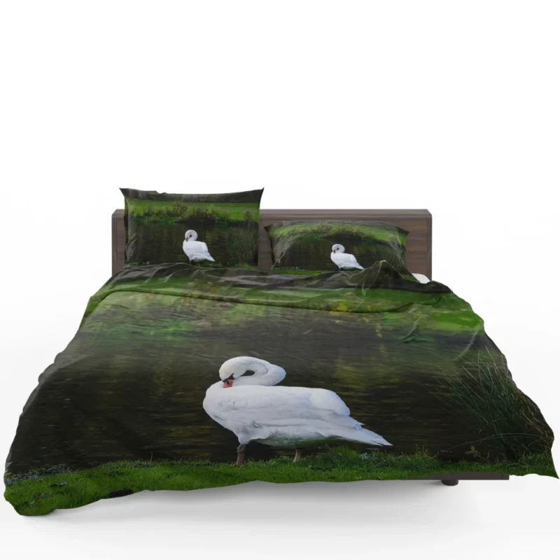 Mute Swan Serene Pose Graceful Beauty Bedding Set