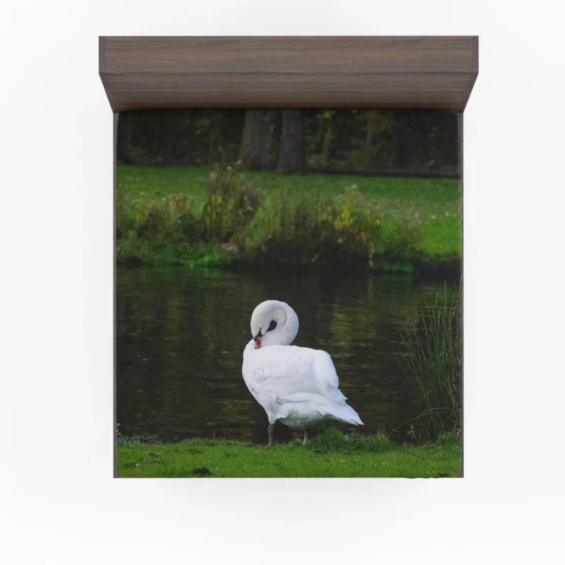 Mute Swan Serene Pose Graceful Beauty Fitted Sheet 1