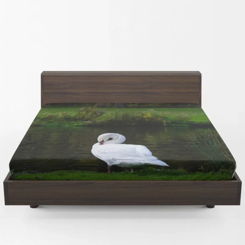 Mute Swan Serene Pose Graceful Beauty Fitted Sheet