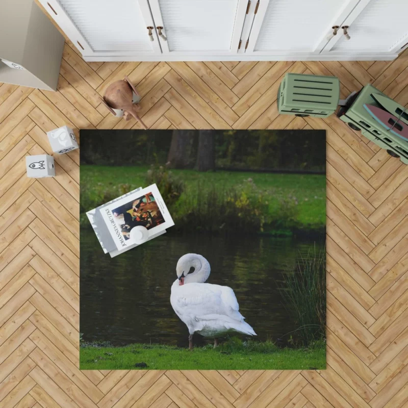 Mute Swan Serene Pose Graceful Beauty Rug