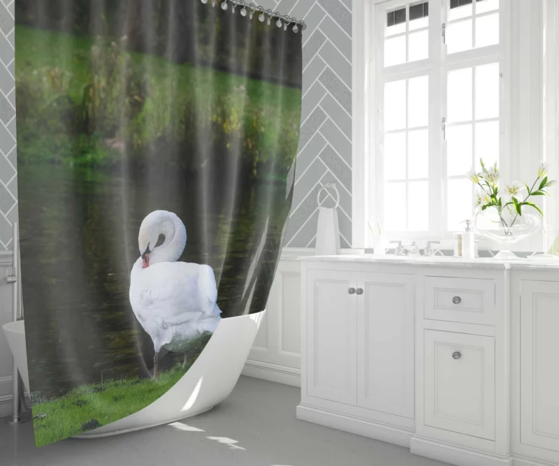 Mute Swan Serene Pose Graceful Beauty Shower Curtain 1