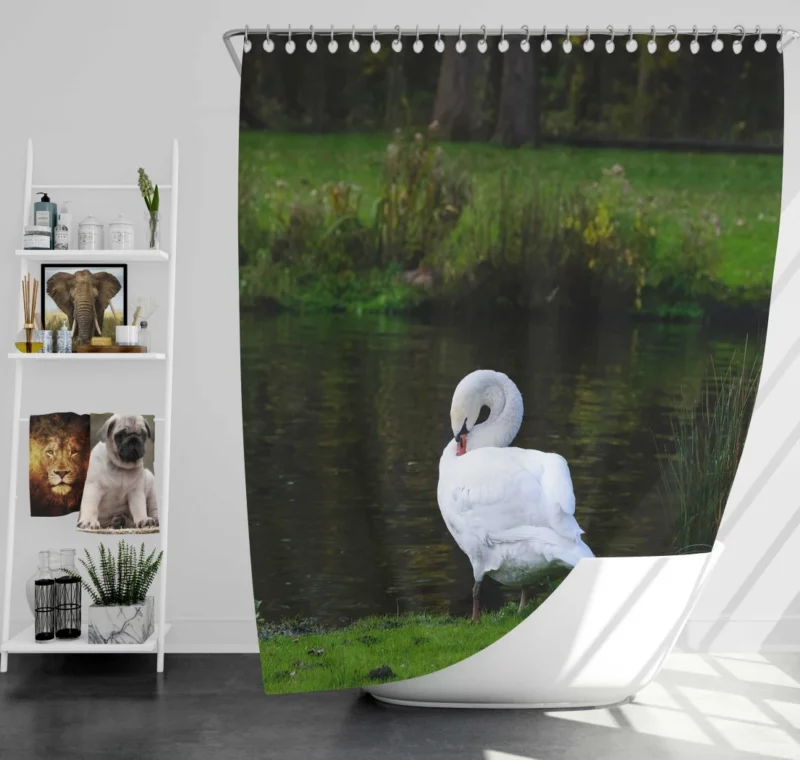 Mute Swan Serene Pose Graceful Beauty Shower Curtain