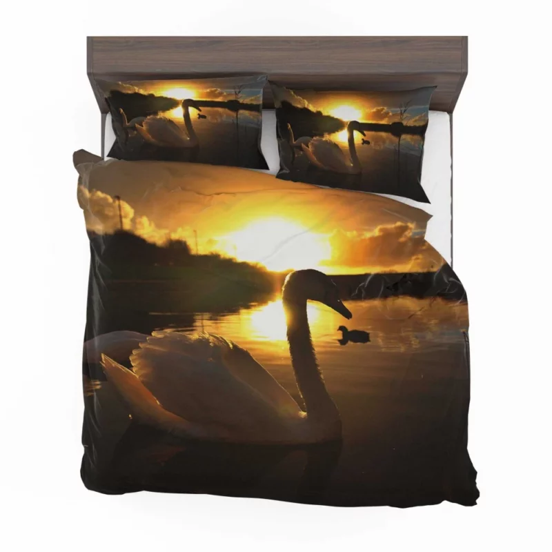 Mute Swan at Sunrise Aquatic Beauty Bedding Set 1