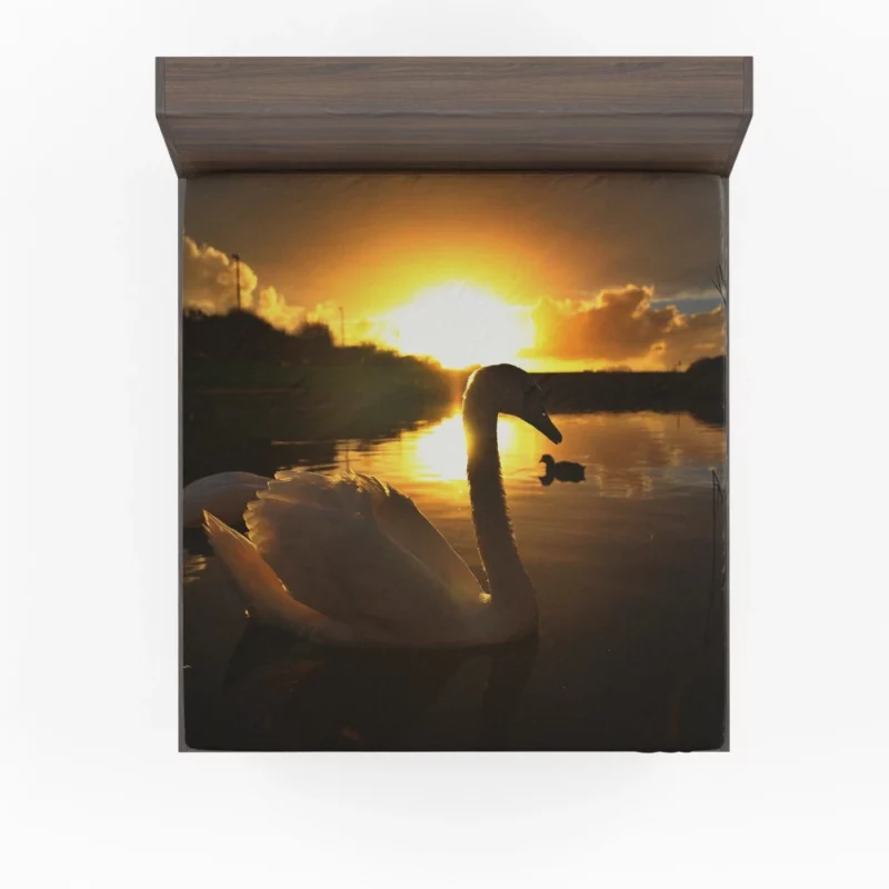 Mute Swan at Sunrise Aquatic Beauty Fitted Sheet 1