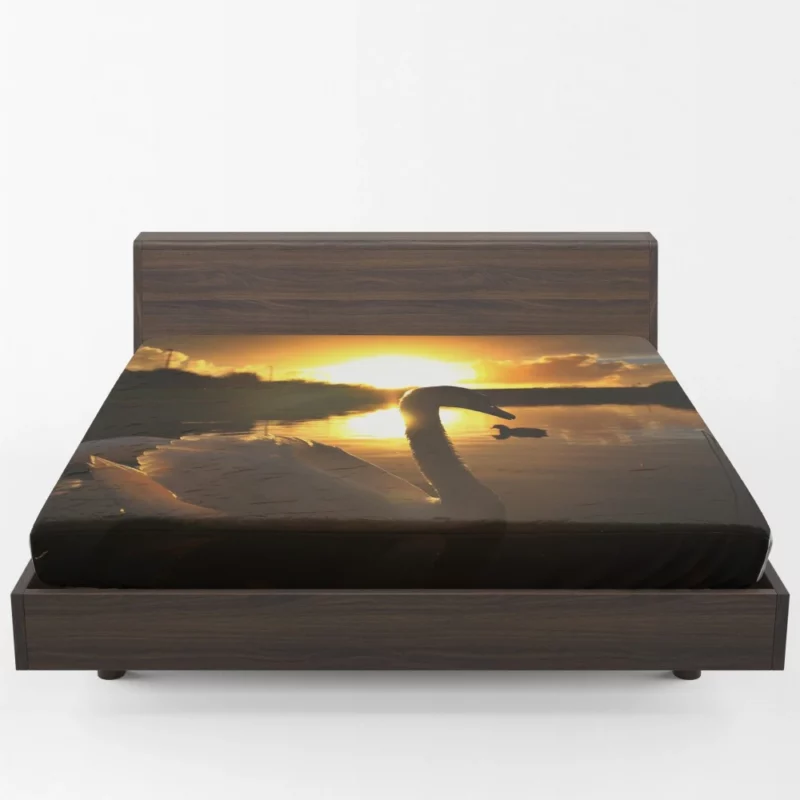 Mute Swan at Sunrise Aquatic Beauty Fitted Sheet