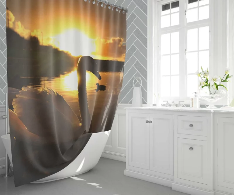 Mute Swan at Sunrise Aquatic Beauty Shower Curtain 1