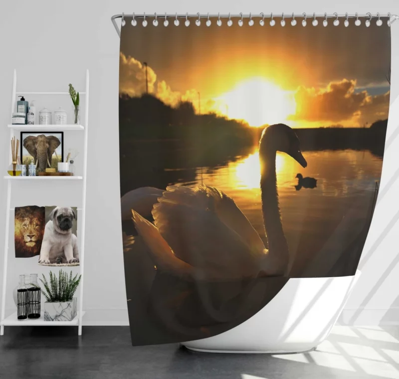 Mute Swan at Sunrise Aquatic Beauty Shower Curtain