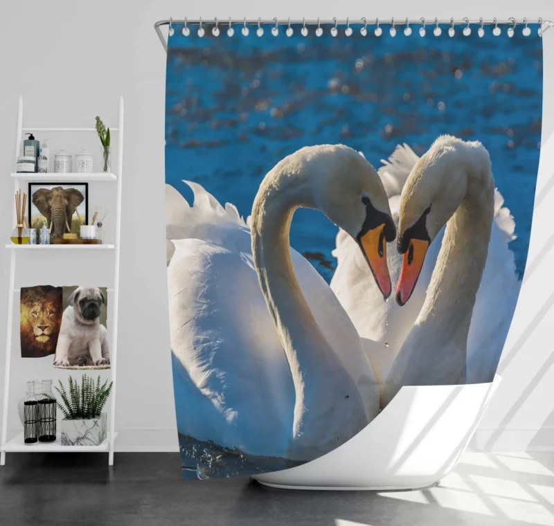 Mute Swans Graceful Water Duo Shower Curtain