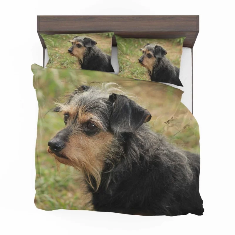 My Loyal Companion Dachshund Love Bedding Set 1