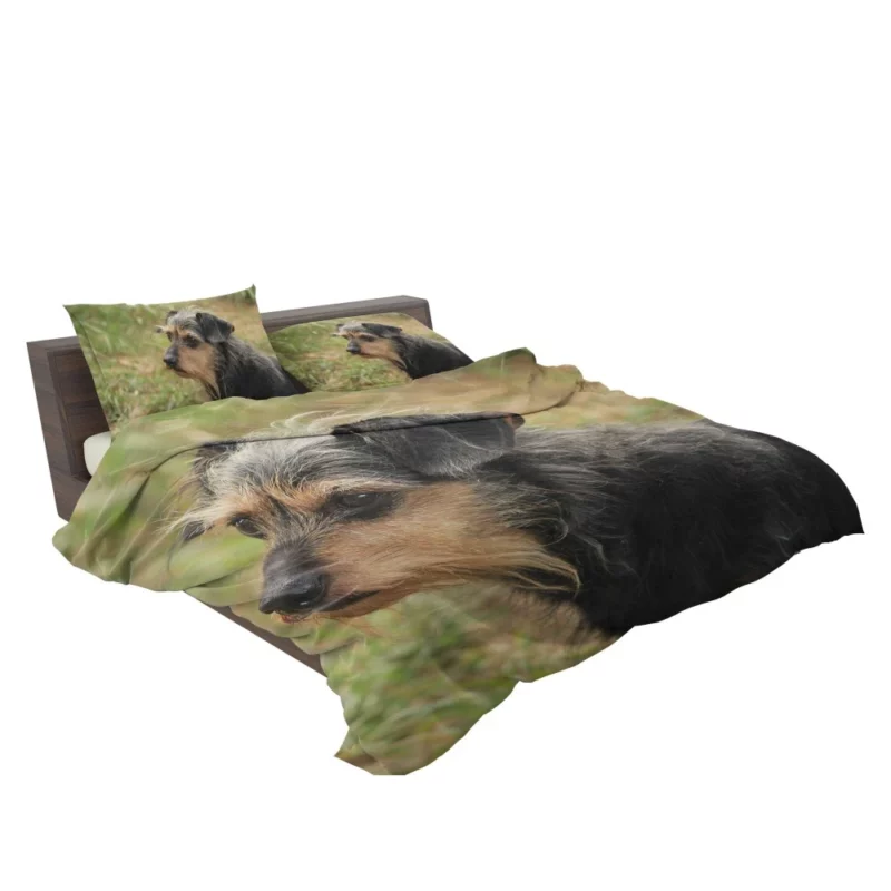 My Loyal Companion Dachshund Love Bedding Set 2