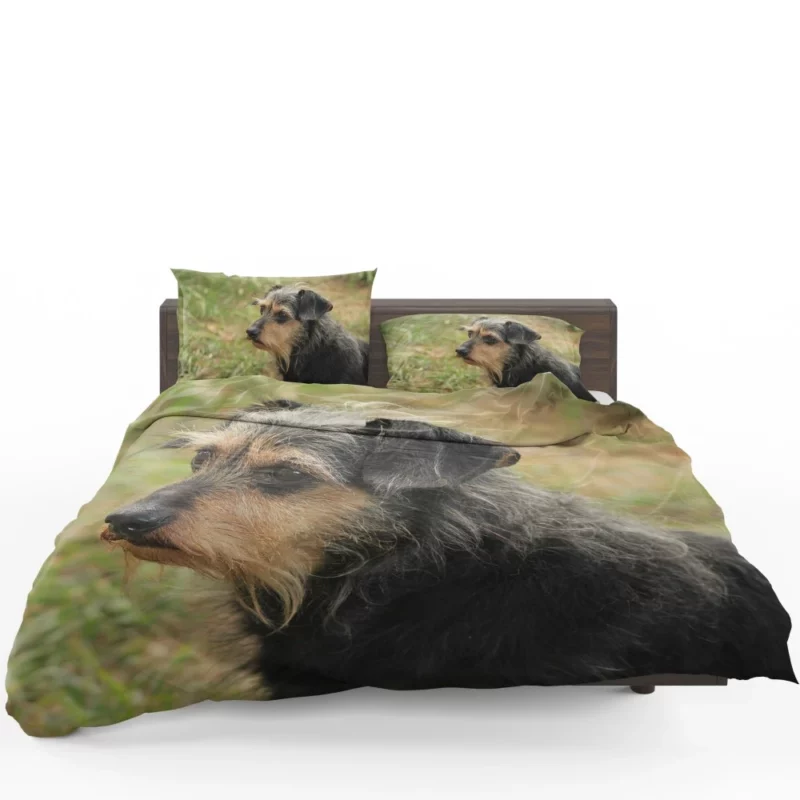 My Loyal Companion Dachshund Love Bedding Set