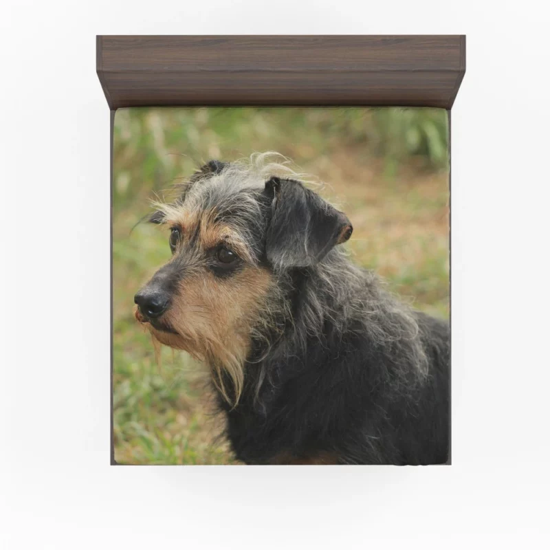 My Loyal Companion Dachshund Love Fitted Sheet 1