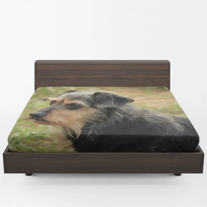 My Loyal Companion Dachshund Love Fitted Sheet