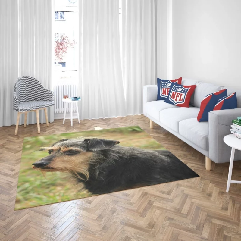 My Loyal Companion Dachshund Love Rug 2