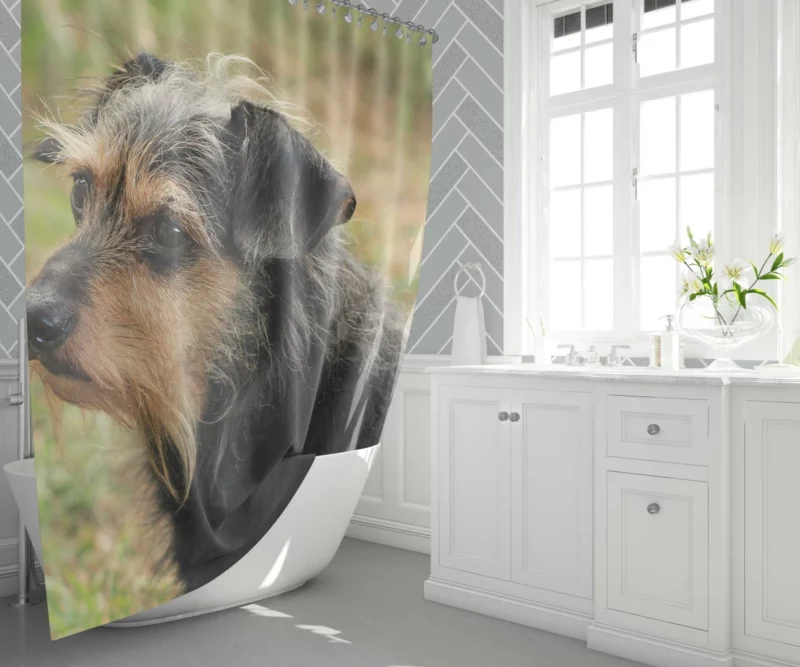 My Loyal Companion Dachshund Love Shower Curtain 1