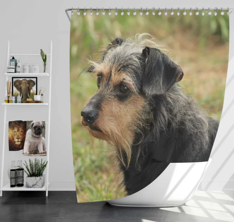 My Loyal Companion Dachshund Love Shower Curtain