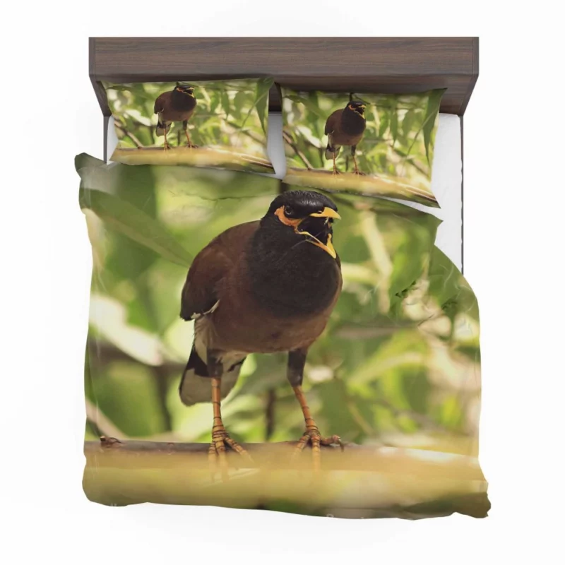 Myna Chirpy Charm Avian Companion Bedding Set 1