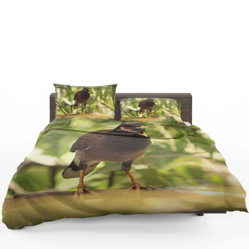 Myna Chirpy Charm Avian Companion Bedding Set