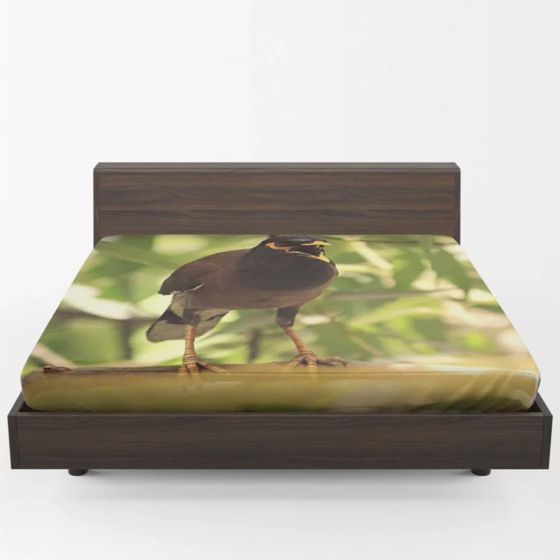 Myna Chirpy Charm Avian Companion Fitted Sheet