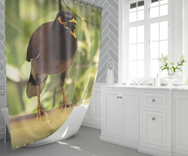 Myna Chirpy Charm Avian Companion Shower Curtain 1