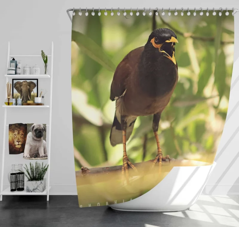 Myna Chirpy Charm Avian Companion Shower Curtain