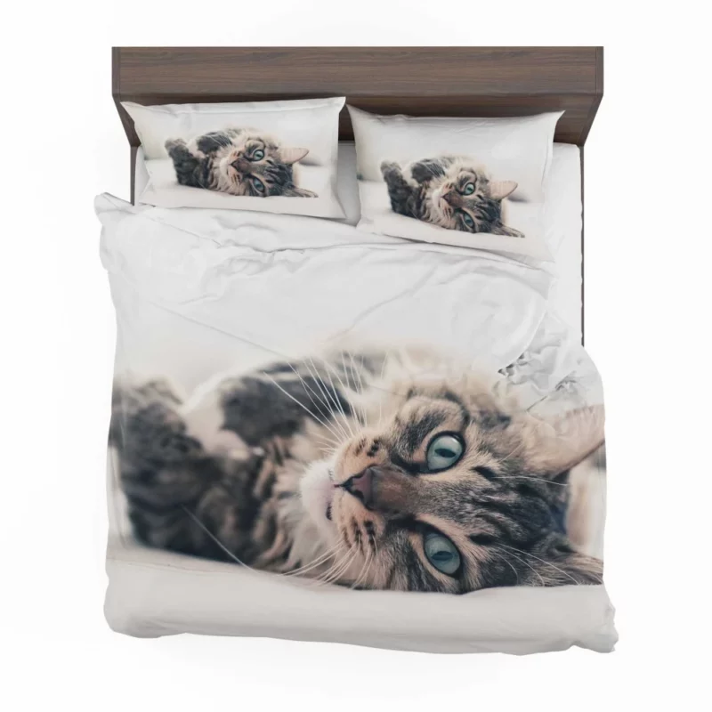 Mysterious Cat Essence Bedding Set 1