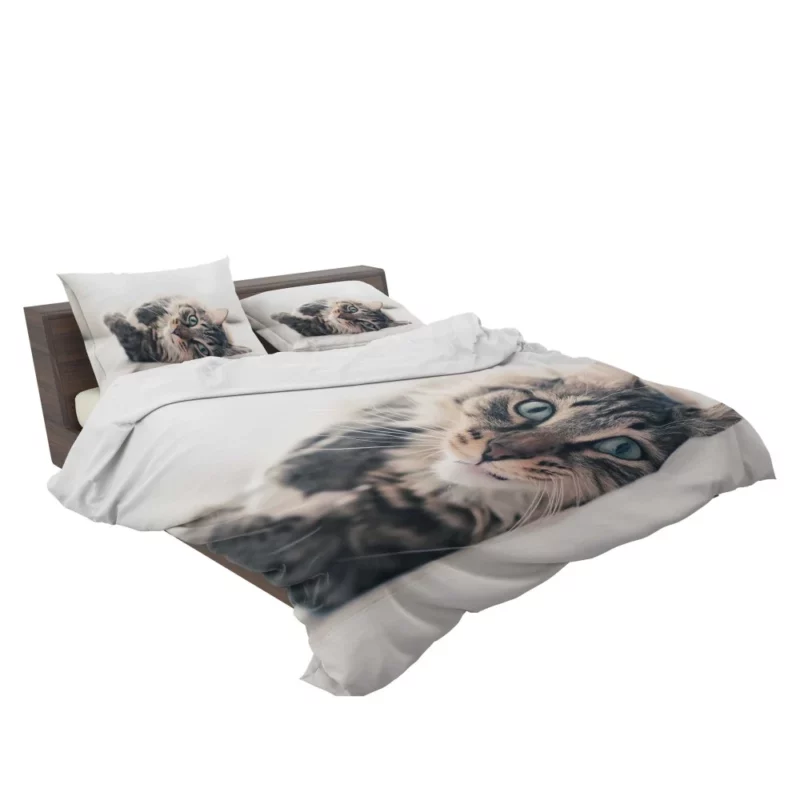 Mysterious Cat Essence Bedding Set 2