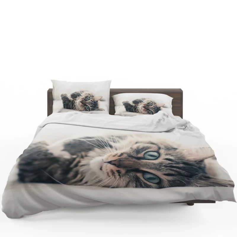 Mysterious Cat Essence Bedding Set