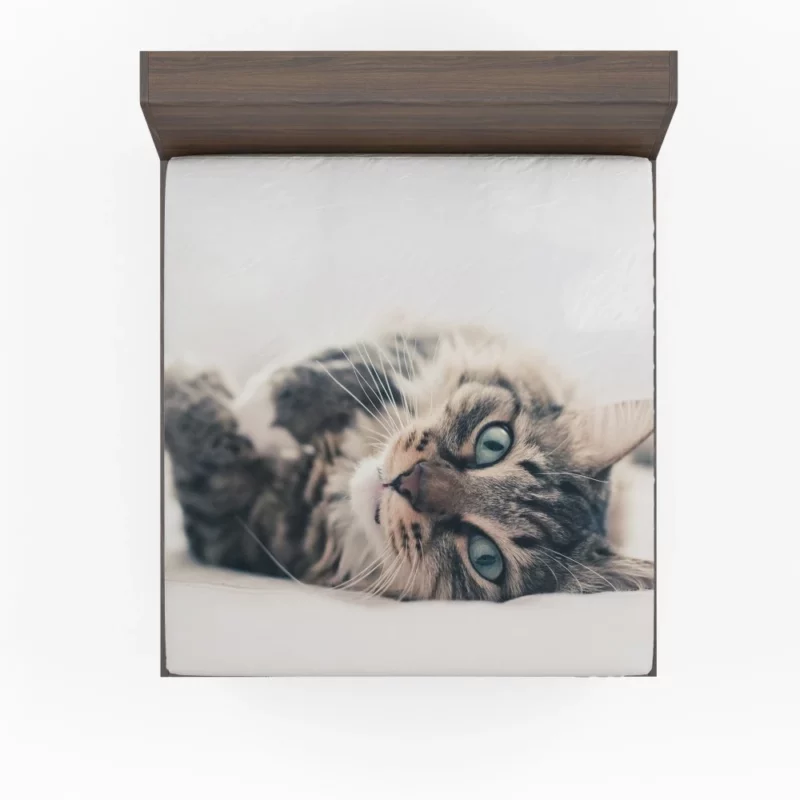 Mysterious Cat Essence Fitted Sheet 1