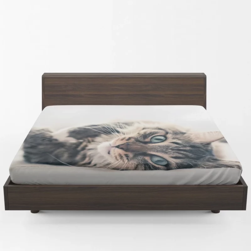 Mysterious Cat Essence Fitted Sheet