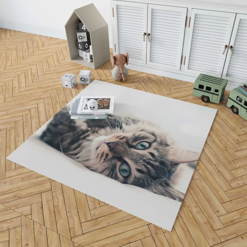 Mysterious Cat Essence Rug 1