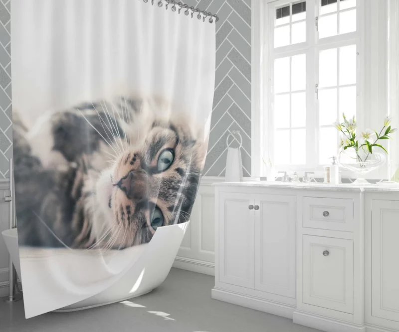 Mysterious Cat Essence Shower Curtain 1