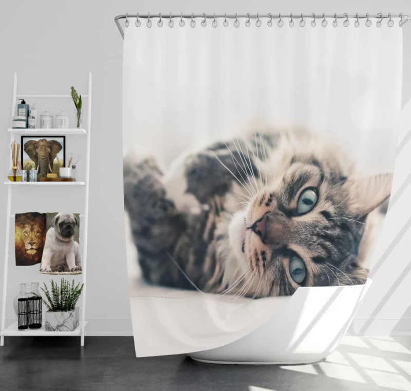 Mysterious Cat Essence Shower Curtain