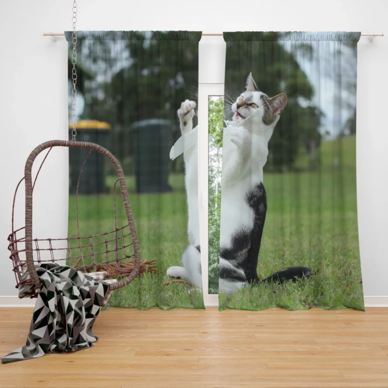 Mysterious Cat Eyes Curtain