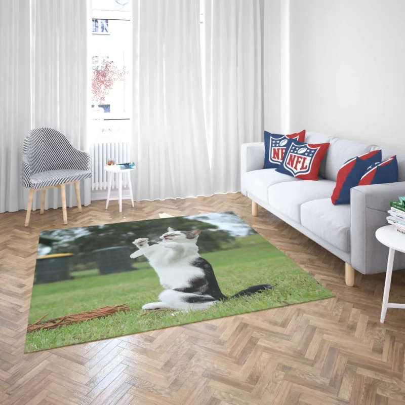 Mysterious Cat Eyes Rug 2