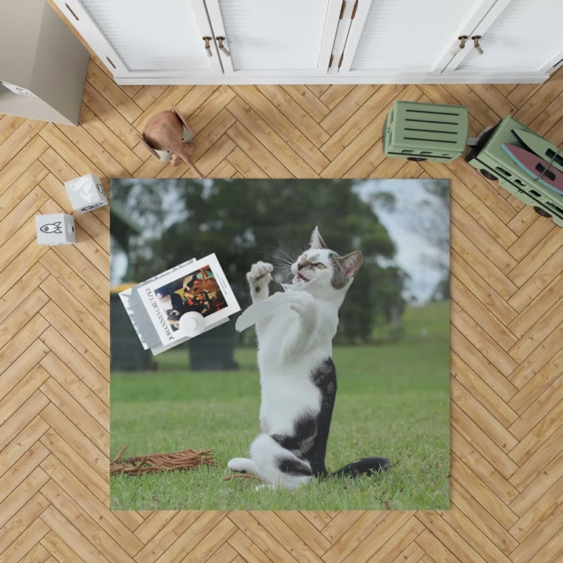 Mysterious Cat Eyes Rug