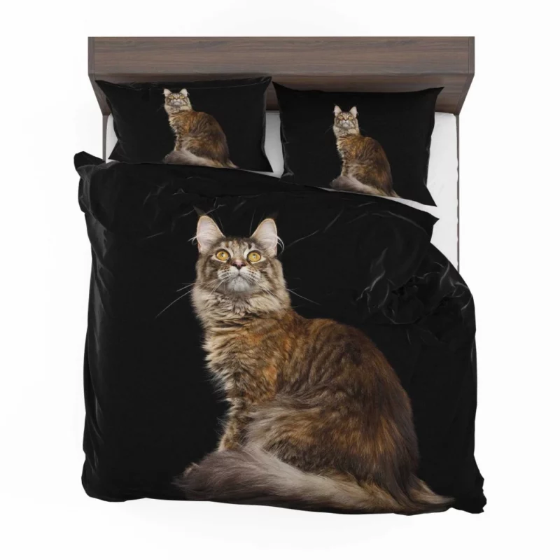 Mysterious Cat Gaze Feline Intrigue Bedding Set 1