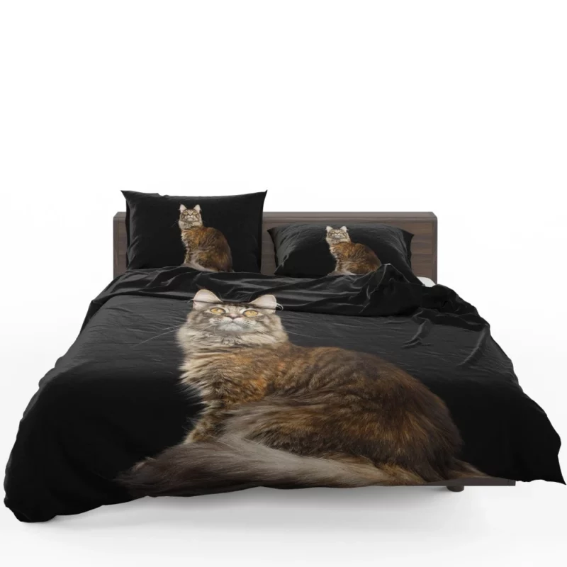 Mysterious Cat Gaze Feline Intrigue Bedding Set