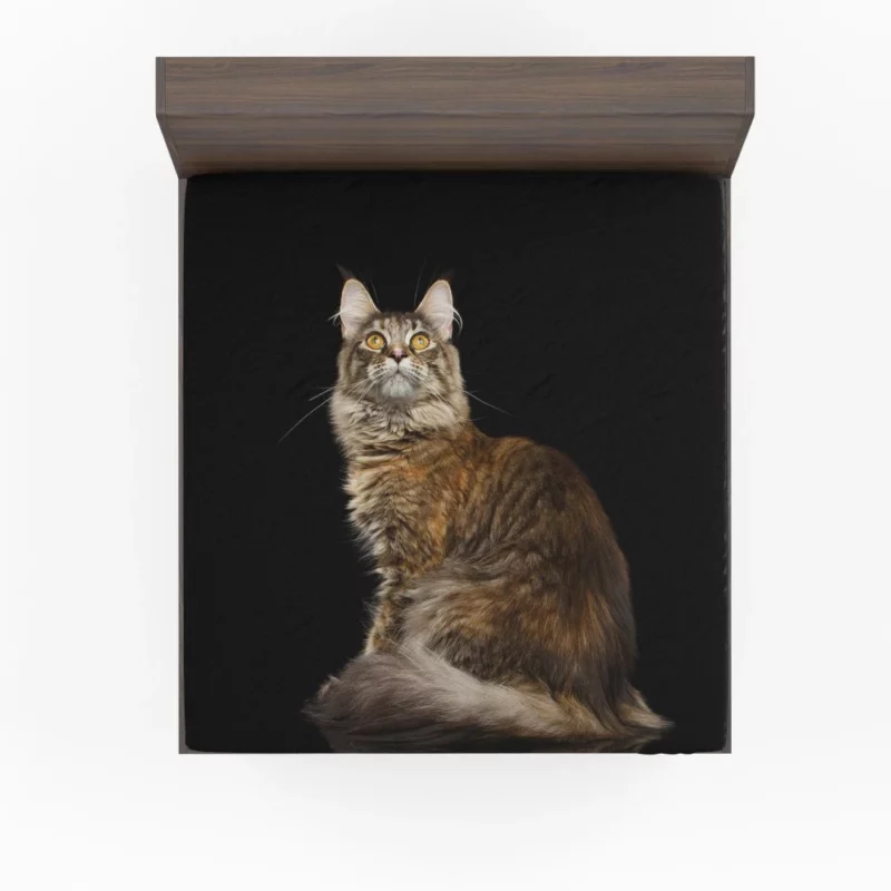 Mysterious Cat Gaze Feline Intrigue Fitted Sheet 1