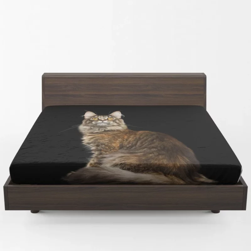 Mysterious Cat Gaze Feline Intrigue Fitted Sheet