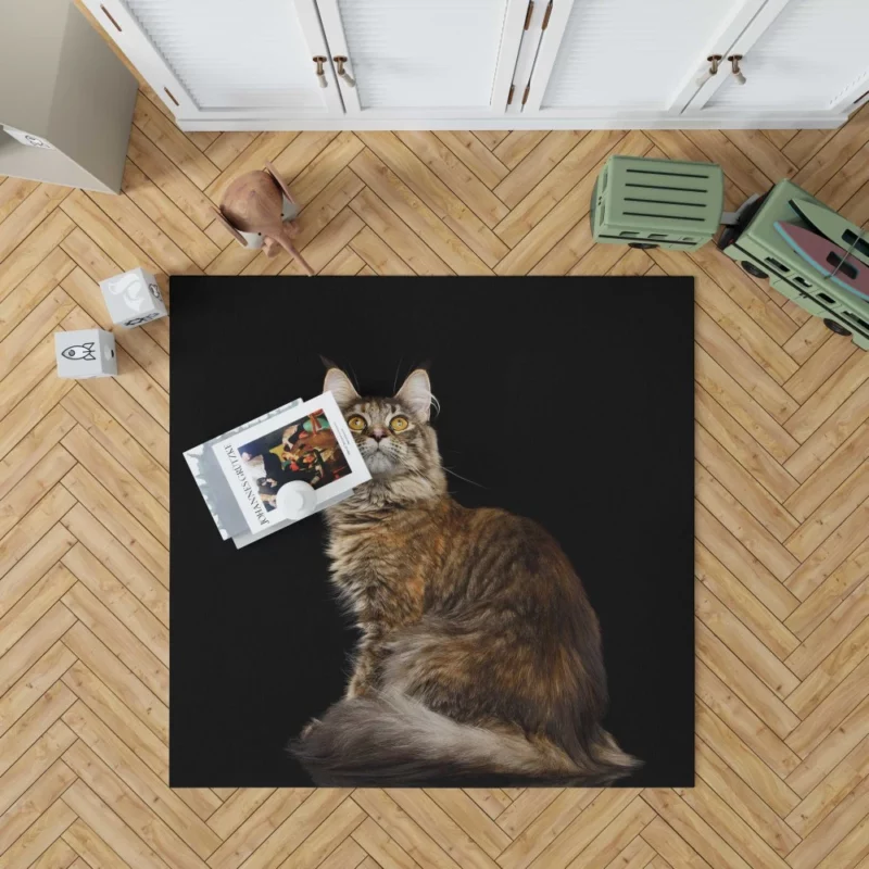 Mysterious Cat Gaze Feline Intrigue Rug