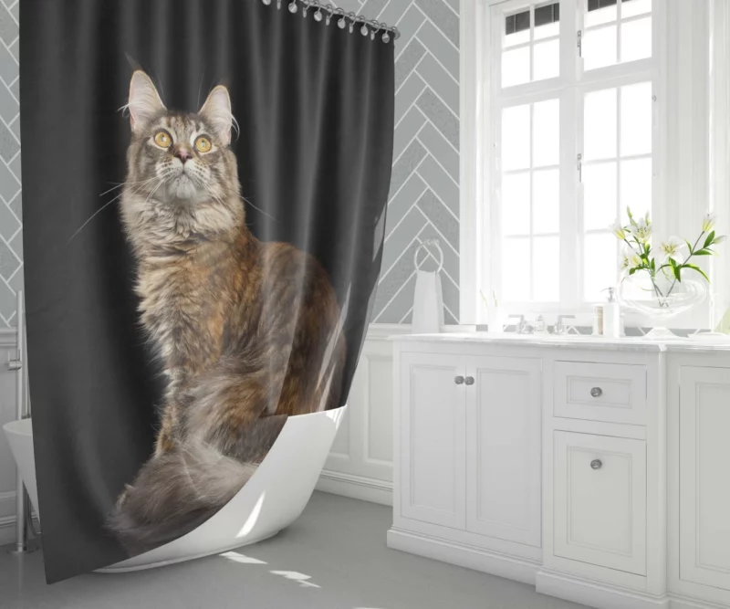 Mysterious Cat Gaze Feline Intrigue Shower Curtain 1